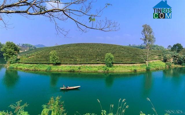 Hình ảnh Hoa Quân, Nghệ An