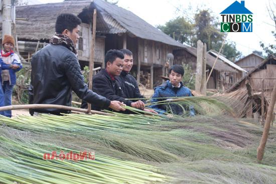 Hình ảnh Hữu Kiệm, Nghệ An