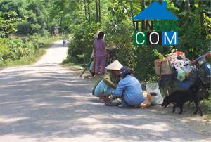 Hình ảnh Châu Lộc, Nghệ An