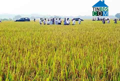 Hình ảnh Giai Lạc, Nghệ An