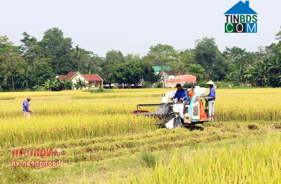 Hình ảnh Nghĩa Thọ, Nghệ An