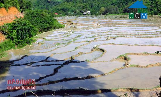 Hình ảnh Nhôn Mai, Nghệ An