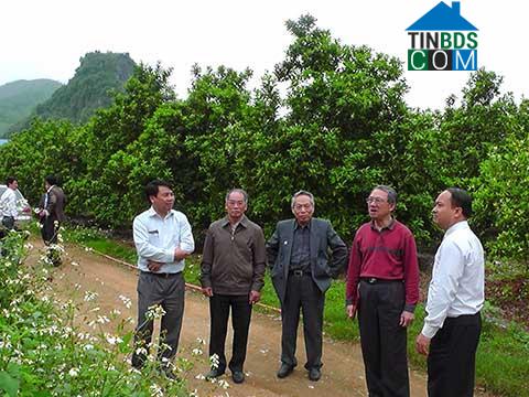 Hình ảnh Quang Đồng, Nghệ An