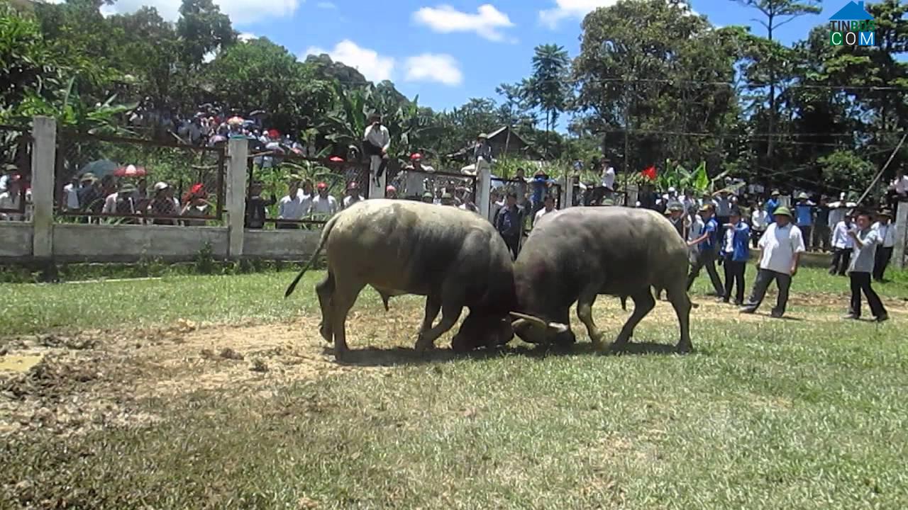 Hình ảnh Mường Lống, Nghệ An