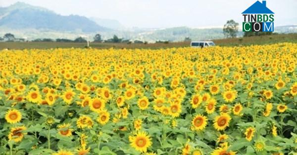 Hình ảnh Nghĩa Đàn, Nghệ An