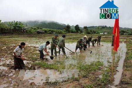 Hình ảnh Sa Bình, Quảng Ngãi