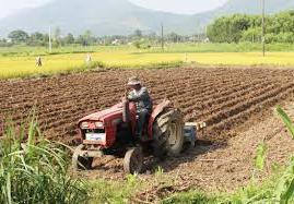 Hình ảnh Sơn Mai, Quảng Ngãi