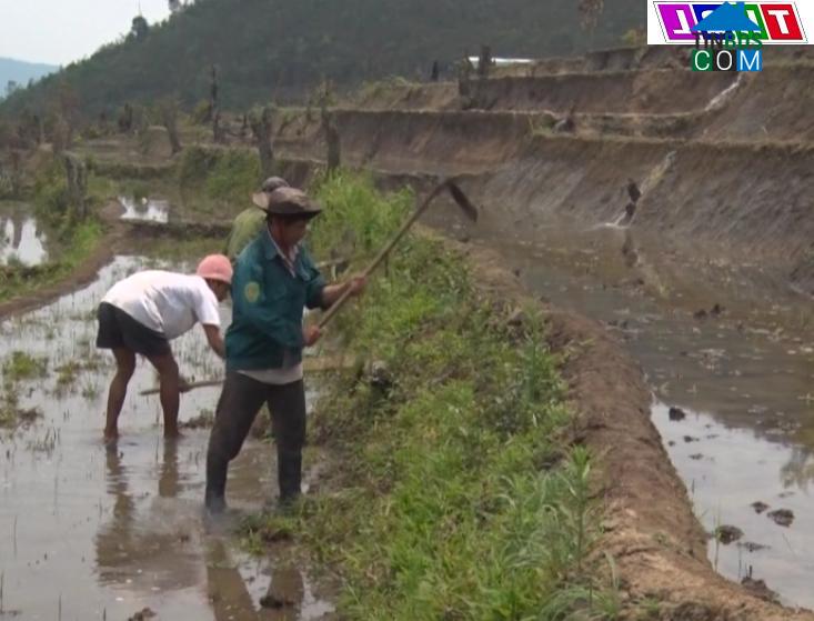Hình ảnh Măng Ri, Quảng Ngãi