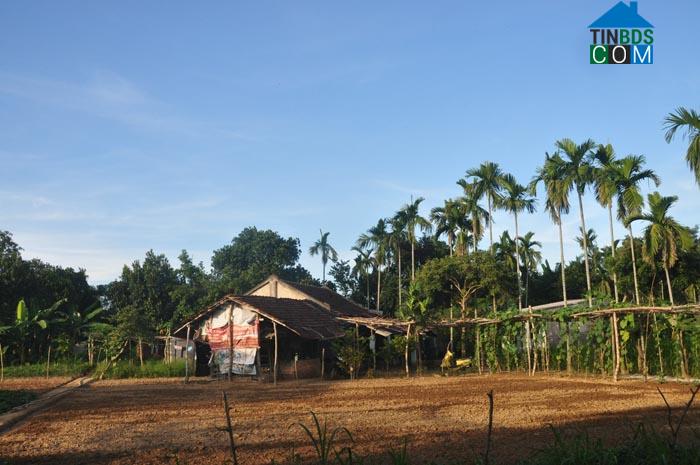 Hình ảnh Nghĩa Lộ, Quảng Ngãi