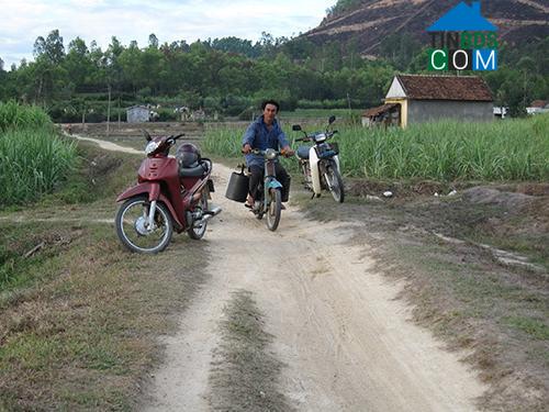 Hình ảnh Nguyễn Nghiêm, Quảng Ngãi