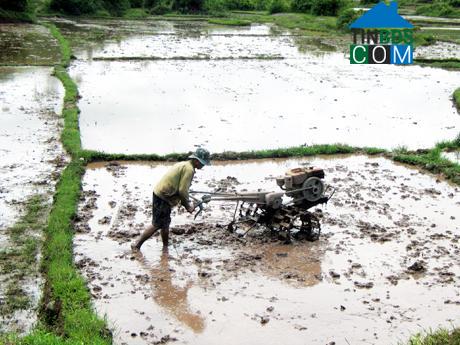 Hình ảnh Đông Ngũ, Quảng Ninh