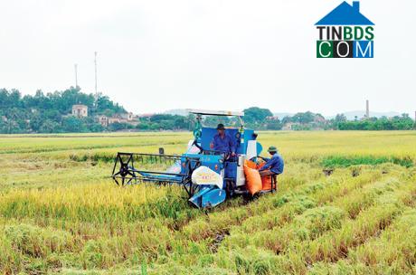 Hình ảnh Đông Triều, Quảng Ninh
