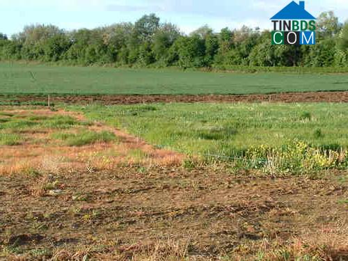 Hình ảnh Thiện Tín, Quảng Ngãi