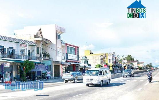 Hình ảnh Trà Câu, Quảng Ngãi