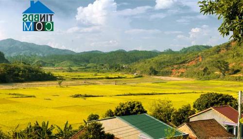 Hình ảnh Đăk Pxi, Quảng Ngãi