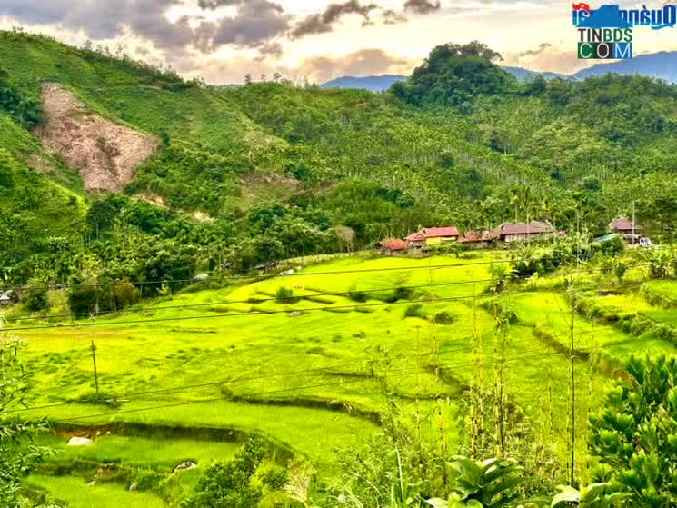 Hình ảnh Tây Trà, Quảng Ngãi