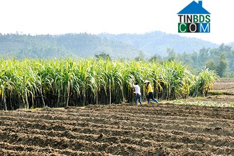 Hình ảnh Vàng Danh, Quảng Ninh