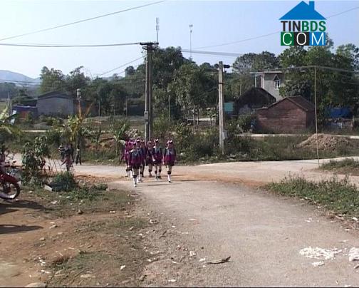 Hình ảnh Đường Hoa, Quảng Ninh