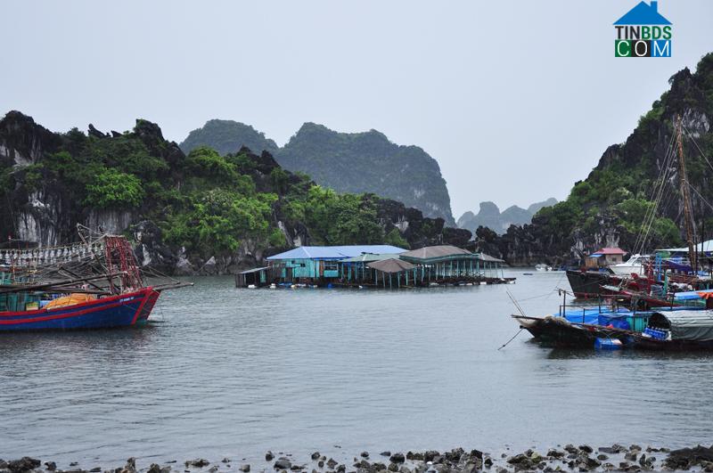 Hình ảnh Hạ Long, Quảng Ninh