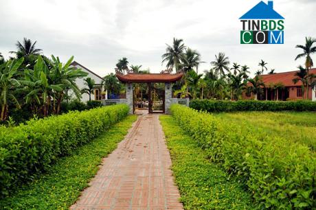 Hình ảnh Hoàng Quế, Quảng Ninh