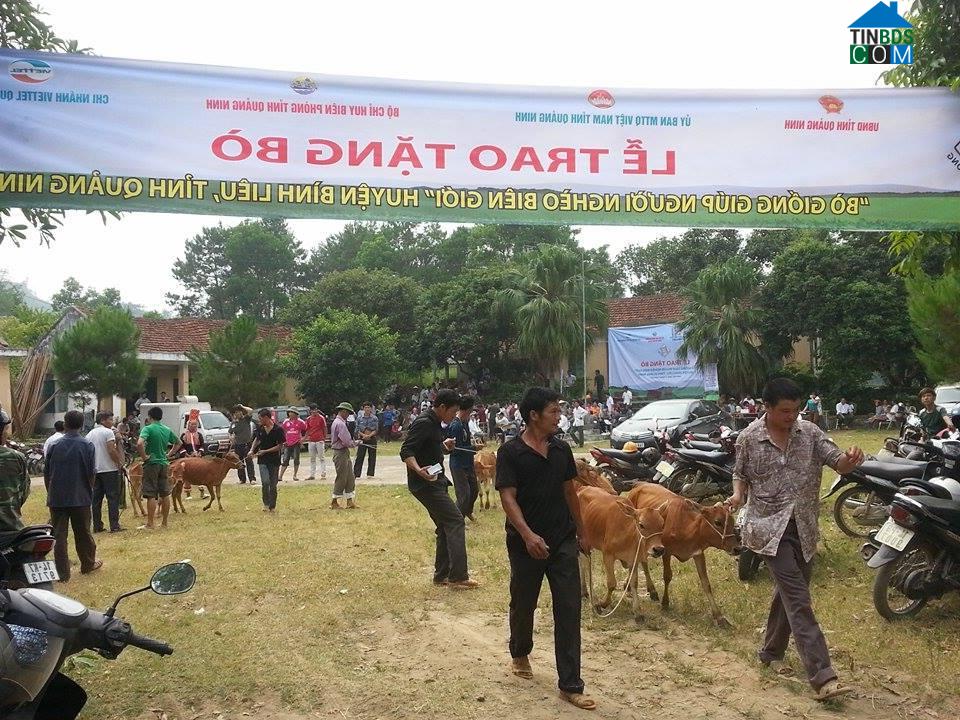 Hình ảnh Lục Hồn, Quảng Ninh