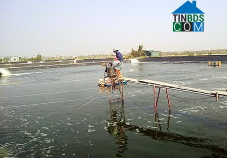 Hình ảnh Móng Cái 2, Quảng Ninh