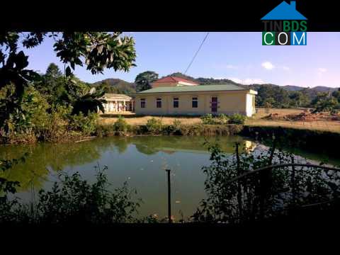 Hình ảnh Hướng Phùng, Quảng Trị