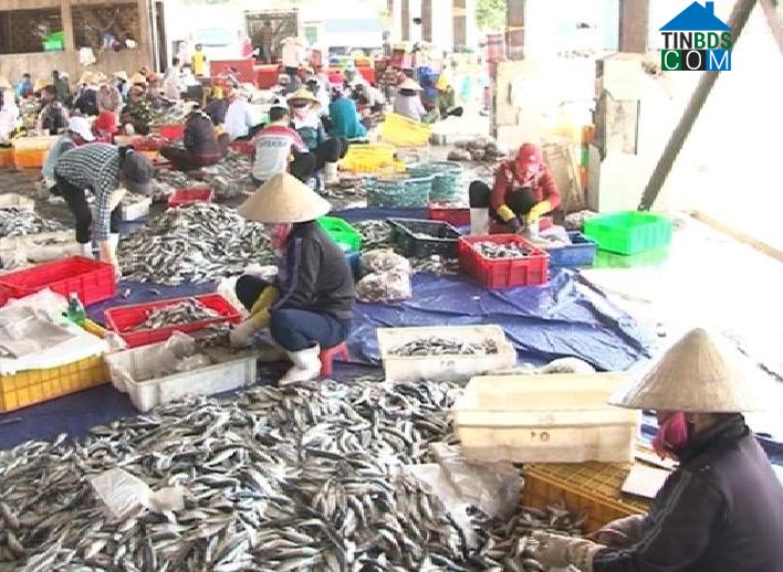 Hình ảnh Bắc Trạch, Quảng Trị