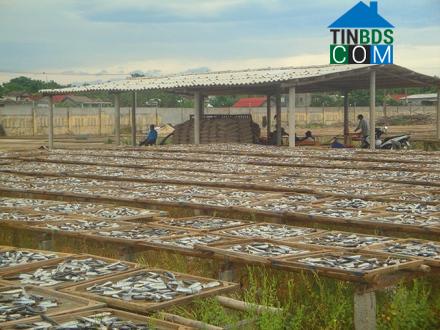 Hình ảnh Cửa Tùng, Quảng Trị