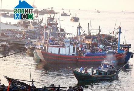 Hình ảnh Cửa Việt, Quảng Trị