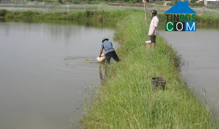 Hình ảnh Đông Trạch, Quảng Trị