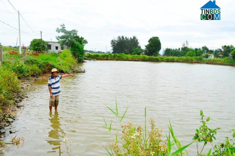 Hình ảnh Triệu Cơ, Quảng Trị