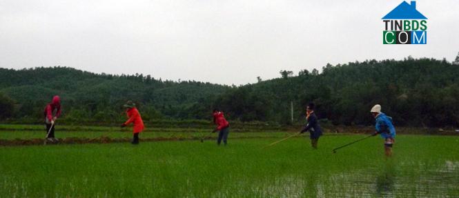 Hình ảnh Trường Sơn, Quảng Trị