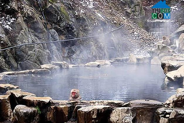 Hình ảnh Kim Ngân, Quảng Trị