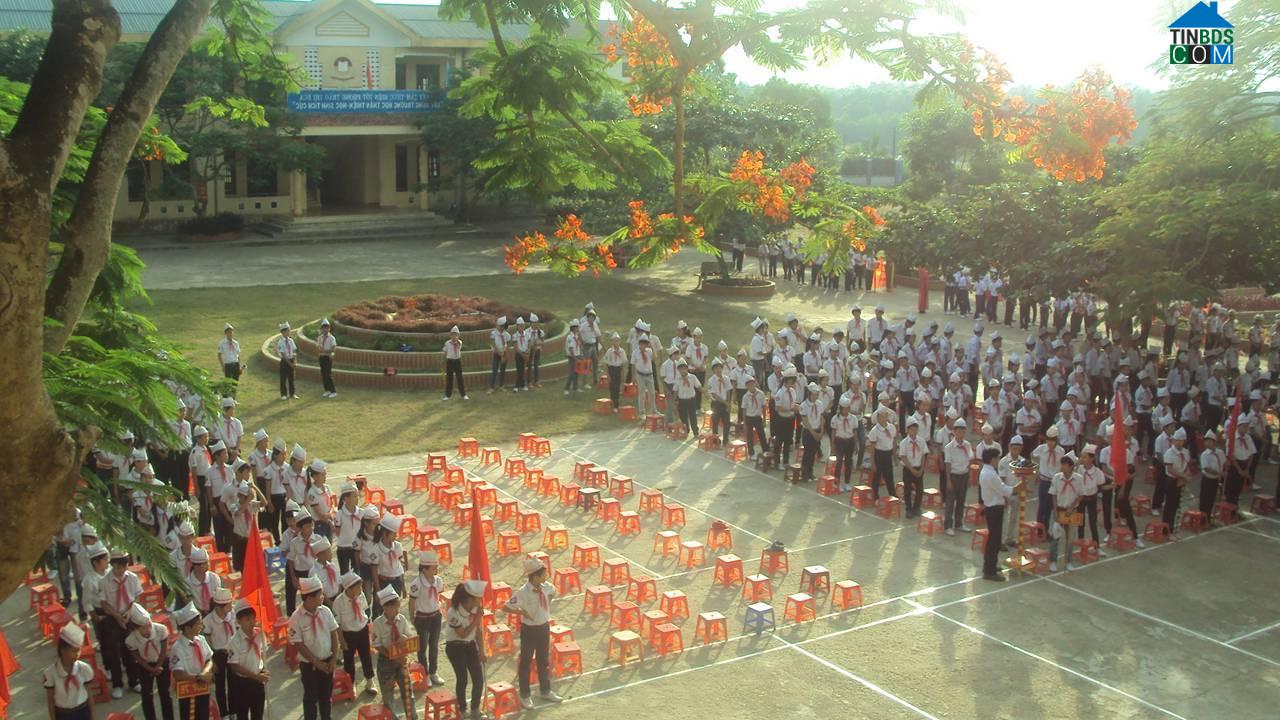 Hình ảnh Sen Ngư, Quảng Trị