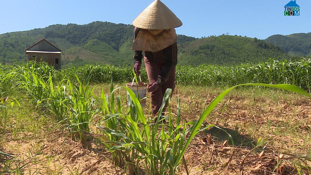 Hình ảnh Tà Rụt, Quảng Trị