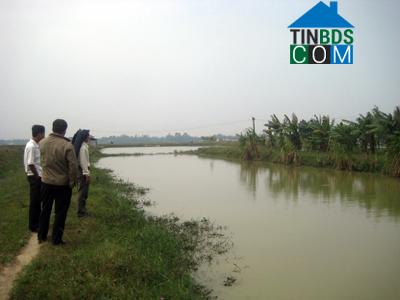 Hình ảnh Tân Mỹ, Quảng Trị