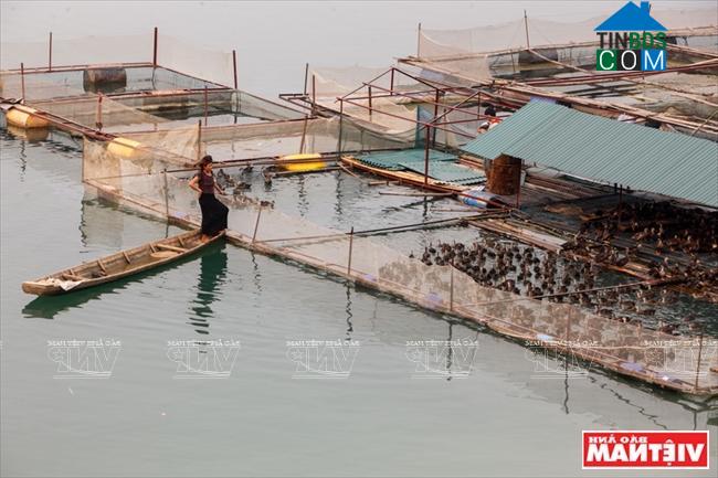 Hình ảnh Xuân Nha, Sơn La