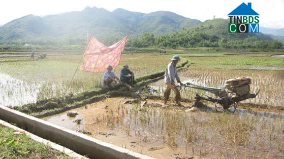 Hình ảnh Gia Phù, Sơn La