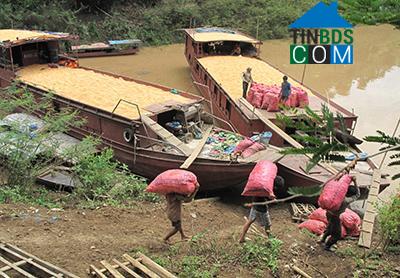 Hình ảnh Kim Bon, Sơn La