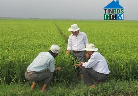 Hình ảnh Vĩnh Định, Quảng Trị