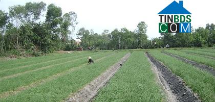 Hình ảnh Mỹ Thủy, Quảng Trị