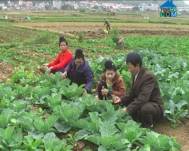 Hình ảnh Chiềng Cơi, Sơn La