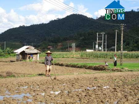 Hình ảnh Quỳnh Nhai, Sơn La