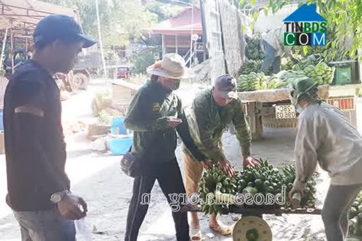 Hình ảnh Tân Phong, Sơn La