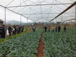 Hình ảnh Mộc Sơn, Sơn La