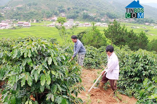 Hình ảnh Muổi Nọi, Sơn La