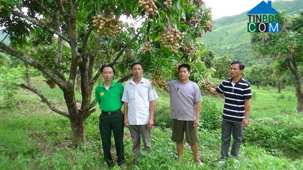 Hình ảnh Mường Hung, Sơn La