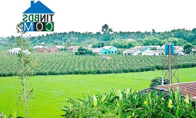 Hình ảnh An Lục Long, Tây Ninh