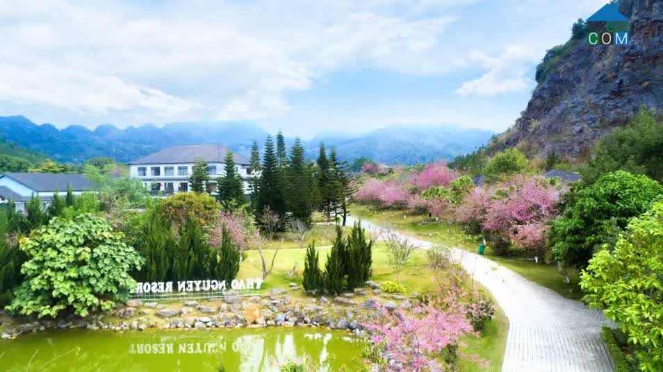 Hình ảnh Thảo Nguyên, Sơn La